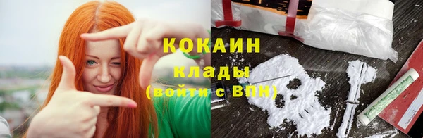хмурый Нея