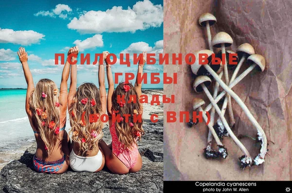 бошки Наволоки