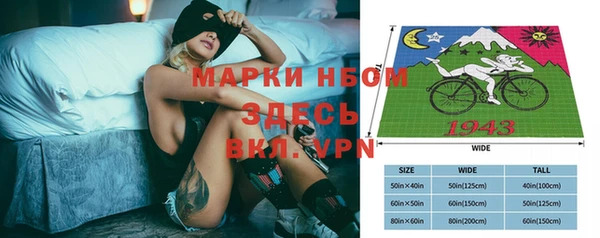 хмурый Нея
