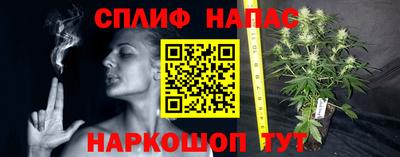 сатива Дубна