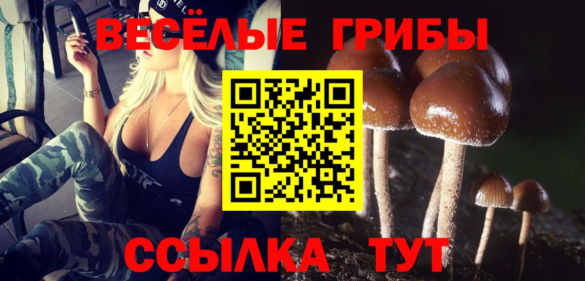 Псилоцибиновые грибы Psilocybe  Галлюциногенные грибы GOLDEN TEACHER  Вход с VPN  Обнинск 