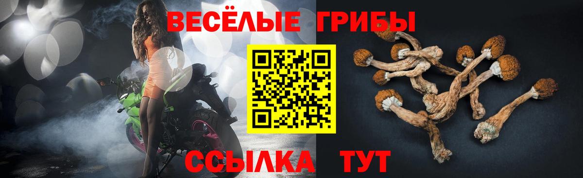Псилоцибиновые грибы GOLDEN TEACHER Обнинск